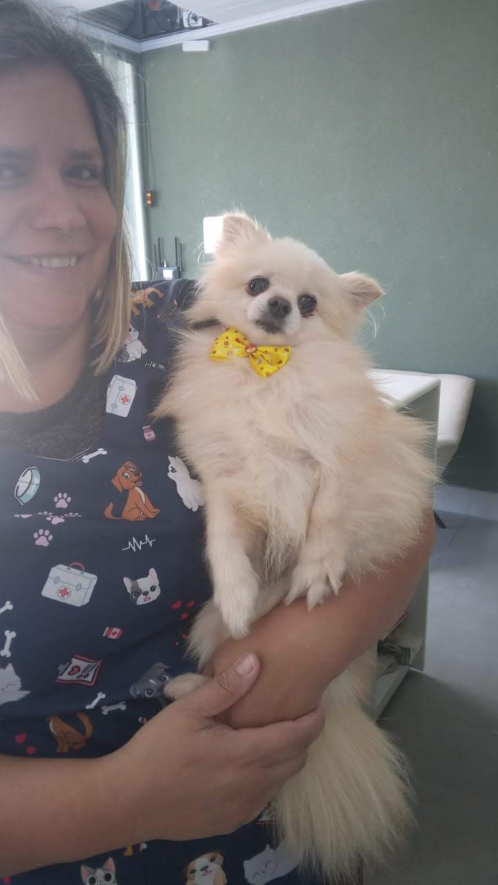 Dra. Quesia Klaus com um lulu da pomerânia de gravatinha