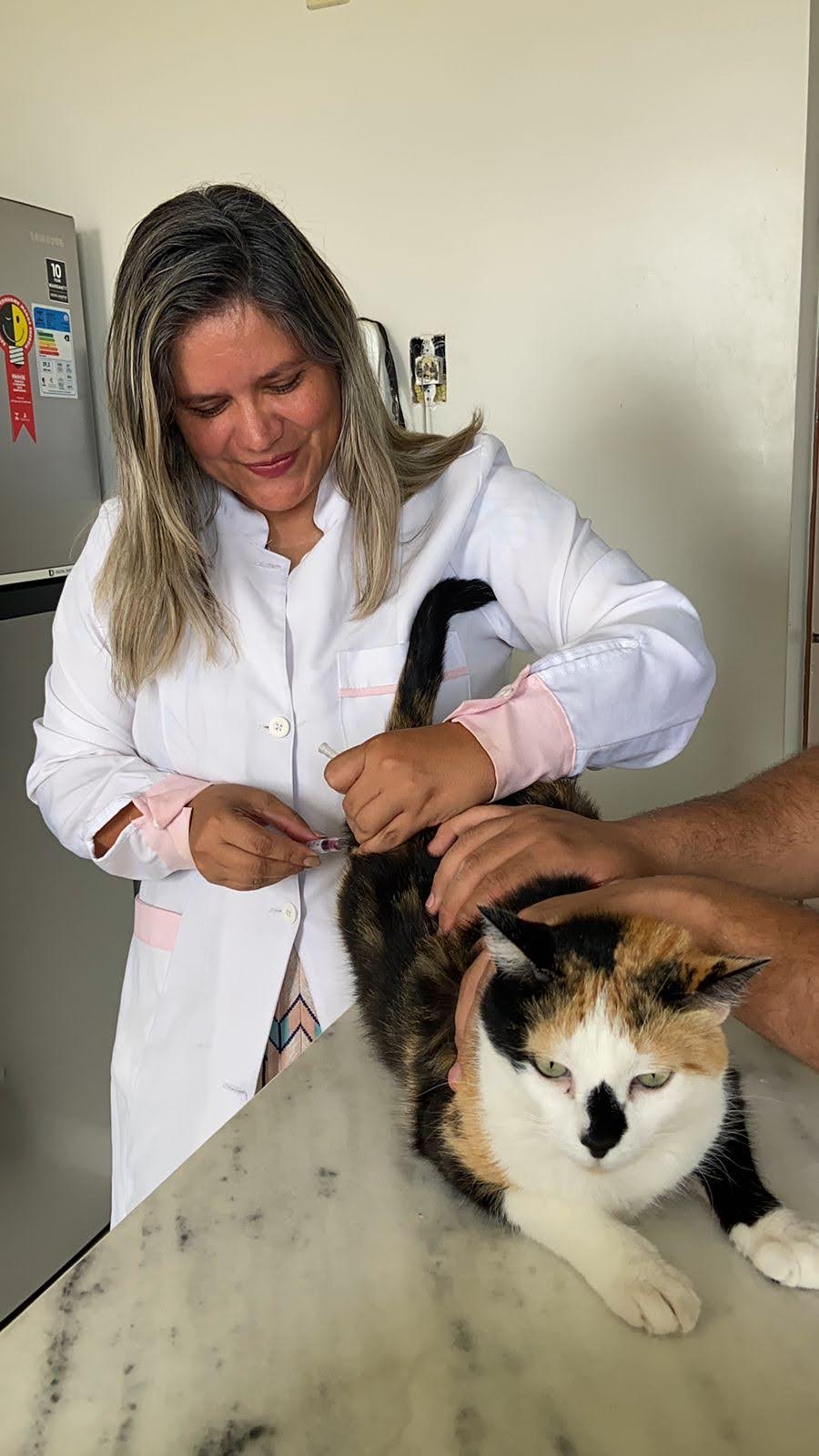 Dra. Quesia Klaus aplicando vacina em gato durante atendimento domiciliar
