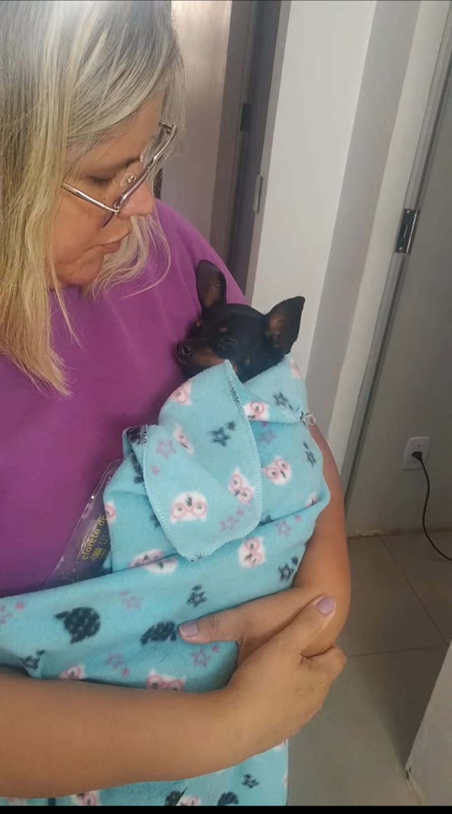 Dra. Quesia Klaus acolhendo um pinscher enrolado em manta